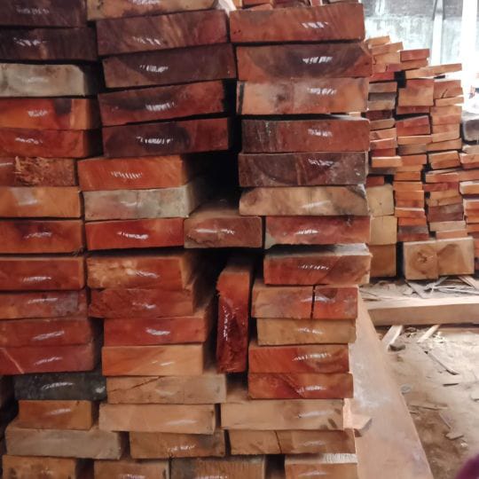 Kayu Pilihan,